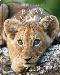 Buchtipp: „Baby Animals“ von Michael Poliza - Afrikas "Mini-Tierwelt"