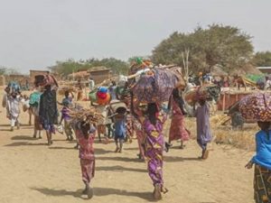 Nigeria: Komplette Kleinstadt flüchtet nach Kamerun