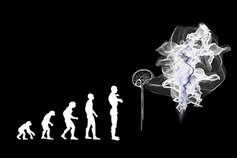 Modernes Gehirn des Menschen entstand vor rund 1,7 Millionen Jahren in Afrika