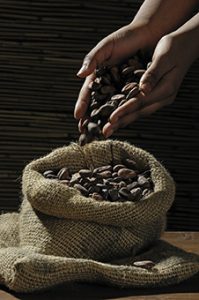 Afrika-Lesetipp/tagesschau.de: Kakaoproduktion in Ghana - Auf dem Rücken der Kinder
