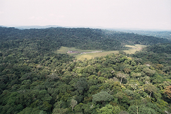 Tropische Bergwälder als unterschätzte Kohlenstoffspeicher: Wert auf dem afrikanischen Kontinent um zwei Drittel höher