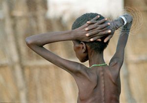 Tschad ruft Ernährungsnotstand auf und bittet internationale Partner um Hilfe