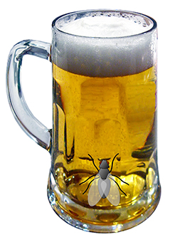 Gabun / Aberglaube: Mann verwandelt sich in eine Fliege und erstickt fast in einem Glas Bier