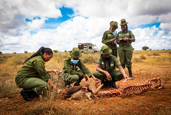 Mehr Frauen für den Naturschutz: Acht neue Rangerinnen treten Dienst in Kenia an