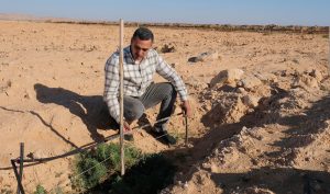 Welt-Sichten: Tunesien – Landwirtschaft: Das Wasser zur Wurzel bringen