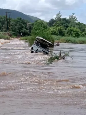 Südafrika: Navi falsch - Britischer Safariguide überlebt 15 Stunden im Auto in einem krokodilverseuchten Fluss