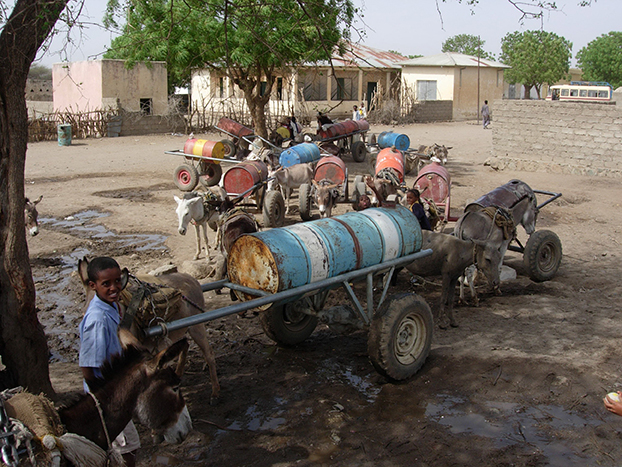 *Volker Seitz: Warum Wasser in Afrika nicht knapp sein müsste