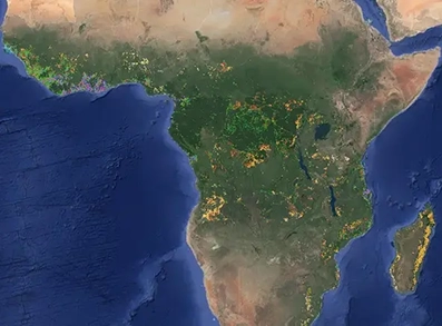 Studie: Wie werden entwaldete Landflächen in Afrika genutzt?