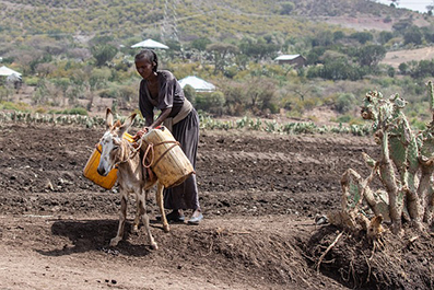 Lesetipp/DerStandard.at: Arbeitsmigration - Äthiopische Haushaltshilfen werden zum geopolitischen Faktor