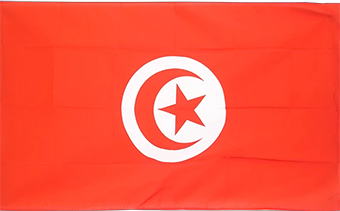 Tunesien ruft dazu auf, sich dem israelischen Krieg gegen Rafah zu widersetzen