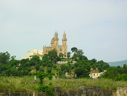 Lesetipp/standard.de: Elf Tage in Afrika - Papst Leo XIV. tritt heute seine bisher längste Reise an
