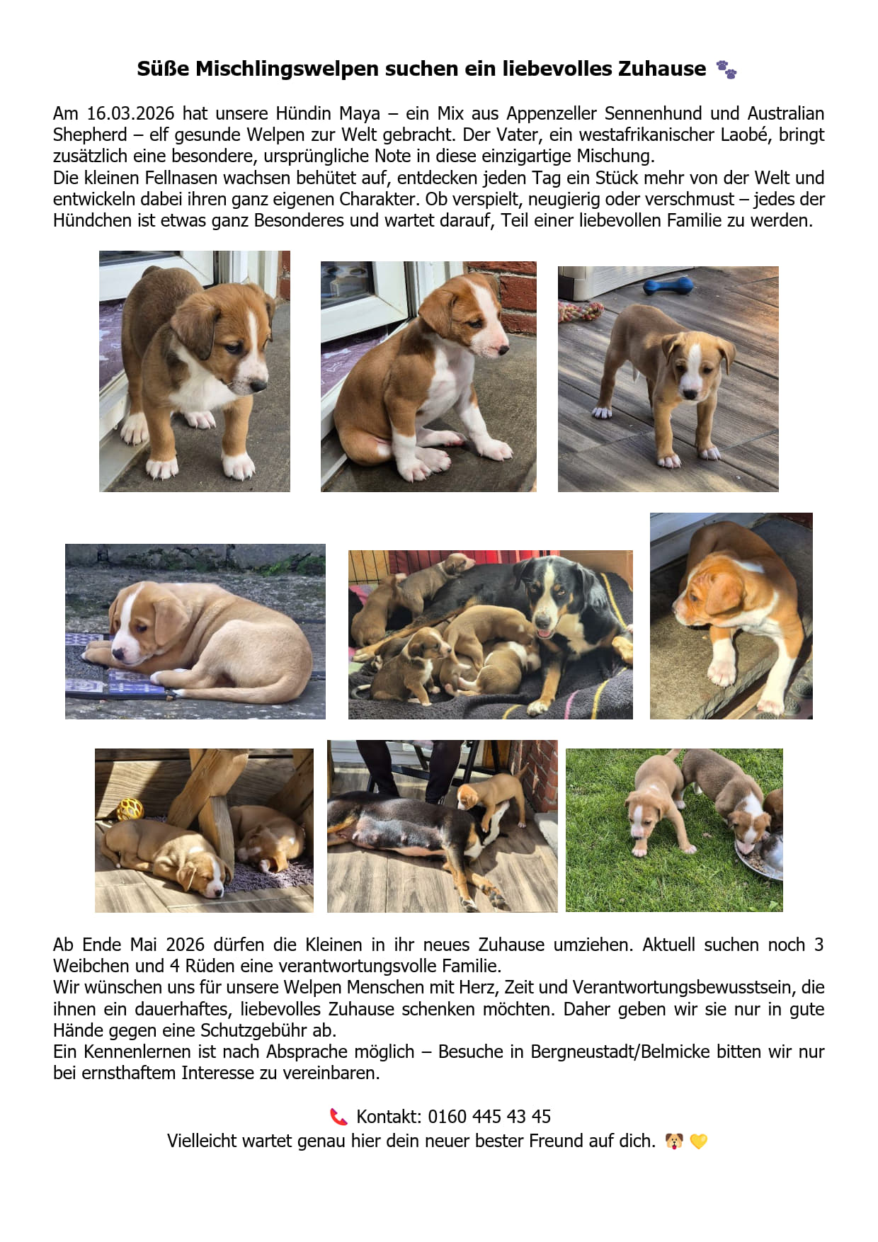 In eigener Sache ...